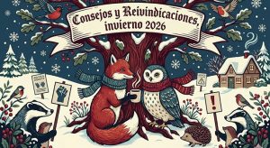Consejos y reivindicaciones, invierno 2026